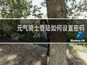 元气骑士登陆如何设置密码