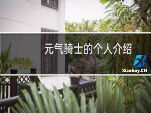 元气骑士的个人介绍