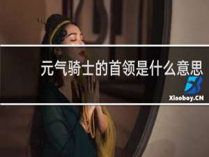 元气骑士的首领是什么意思