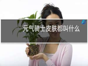 元气骑士皮肤都叫什么