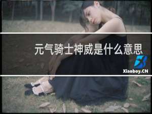 元气骑士神威是什么意思
