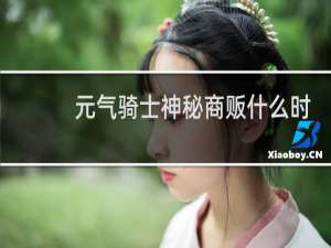 元气骑士神秘商贩什么时候刷新东西