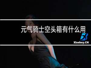 元气骑士空头箱有什么用