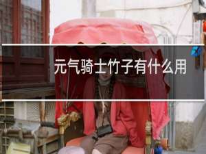 元气骑士竹子有什么用