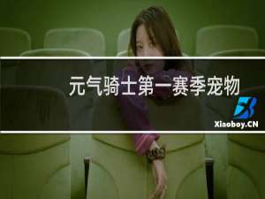 元气骑士第一赛季宠物