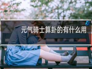 元气骑士算卦的有什么用