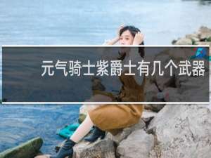 元气骑士紫爵士有几个武器