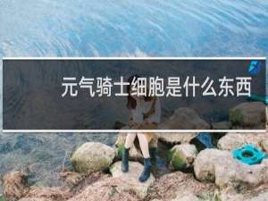 元气骑士细胞是什么东西