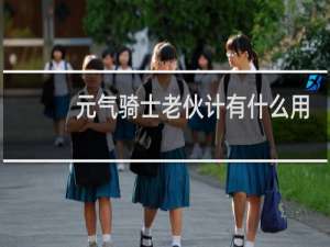 元气骑士老伙计有什么用