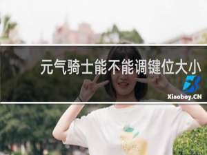 元气骑士能不能调键位大小