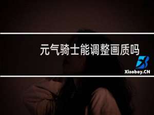 元气骑士能调整画质吗