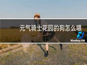 元气骑士花园的狗怎么喂