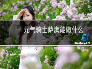 元气骑士萨满能做什么