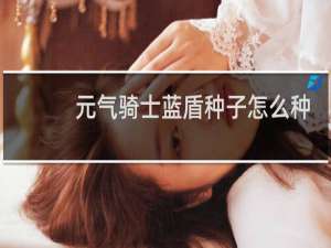 元气骑士蓝盾种子怎么种