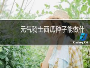 元气骑士西瓜种子能做什么