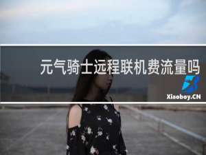 元气骑士远程联机费流量吗