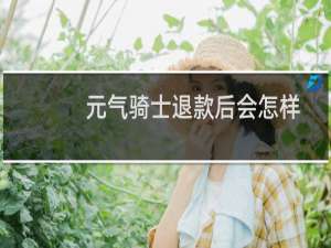 元气骑士退款后会怎样