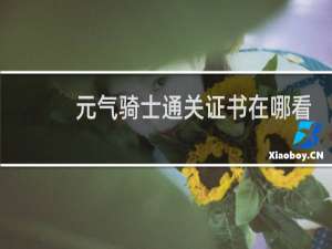 元气骑士通关证书在哪看