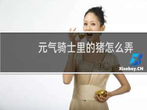 元气骑士里的猪怎么弄