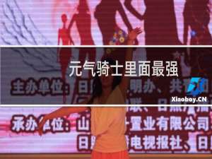 元气骑士里面最强