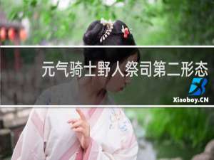 元气骑士野人祭司第二形态