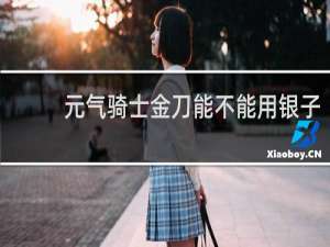 元气骑士金刀能不能用银子