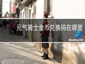 元气骑士金币兑换码在哪里