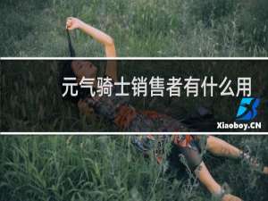 元气骑士销售者有什么用