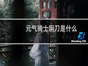 元气骑士阴刀是什么