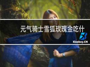 元气骑士雪狐玫瑰金吃什么天赋