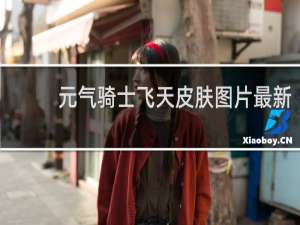 元气骑士飞天皮肤图片最新