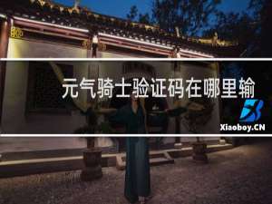 元气骑士验证码在哪里输入