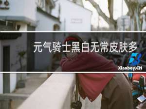 元气骑士黑白无常皮肤多少钱