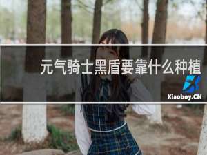 元气骑士黑盾要靠什么种植