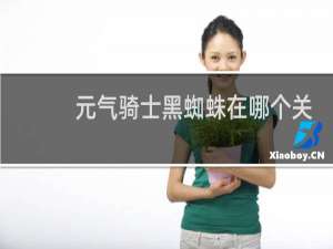 元气骑士黑蜘蛛在哪个关卡