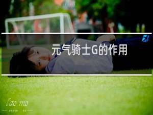 元气骑士G的作用