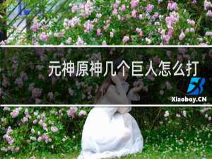 元神原神几个巨人怎么打