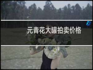 元青花大罐拍卖价格
