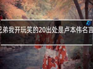 兄弟我开玩笑的 出处是卢本伟名言什么梗