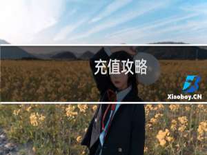 充值攻略