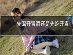 先喝开胃酒还是先吃开胃菜