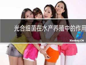 光合细菌在水产养殖中的作用