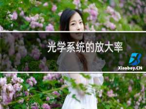 光学系统的放大率