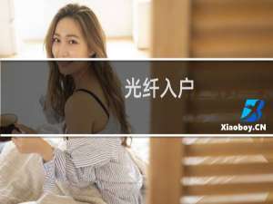 光纤入户（光纤入户）