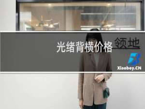 光绪背横价格