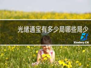 光绪通宝有多少局哪些局少