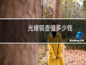 光绪铜壶值多少钱