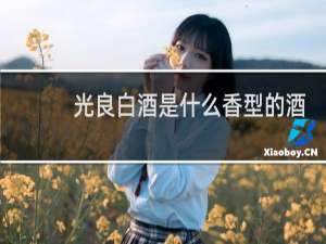 光良白酒是什么香型的酒