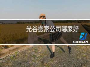 光谷搬家公司哪家好