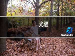 光遇:墨镜获得攻略